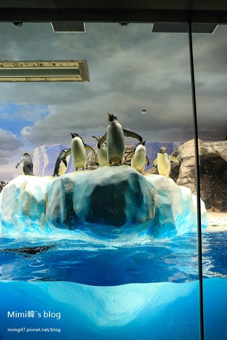名古屋水族館-51.jpg