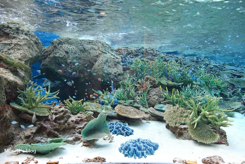 名古屋水族館-47.jpg