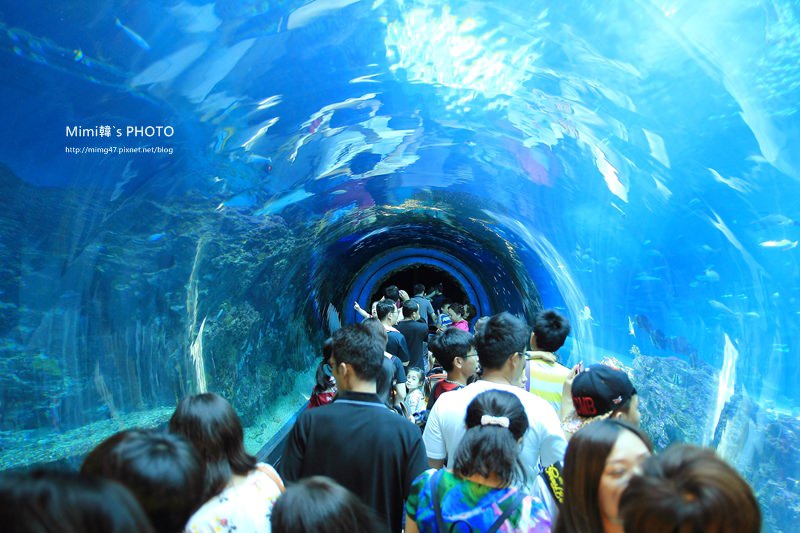 屏東海生館17.JPG