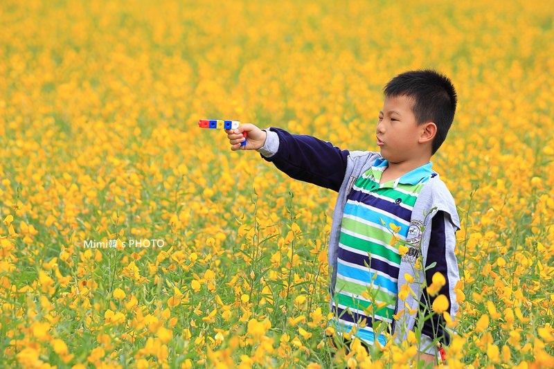 IMG_4118.JPG IMG_4118.JPG