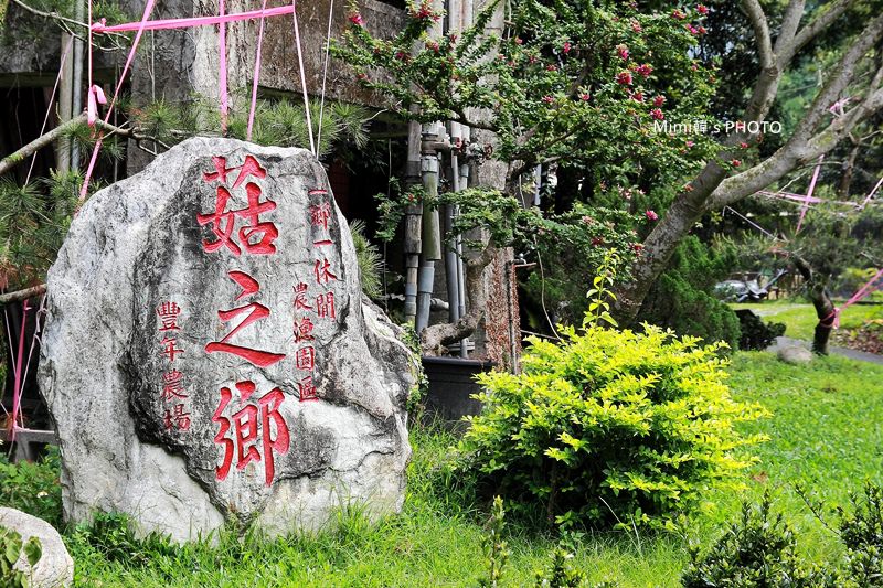 豐年農場4.JPG