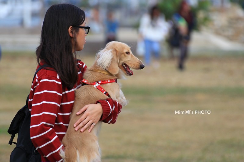 安平林默娘公園30.JPG