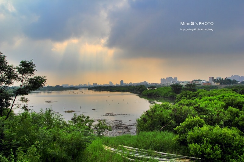 IMG_8536.JPG IMG_8536.JPG