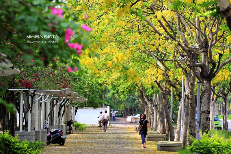 IMG_5083.JPG IMG_5083.JPG