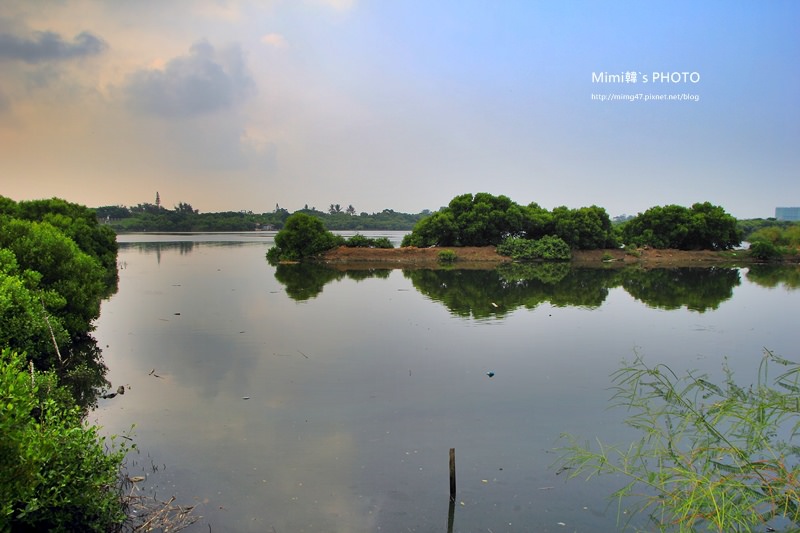 IMG_8534.JPG IMG_8534.JPG