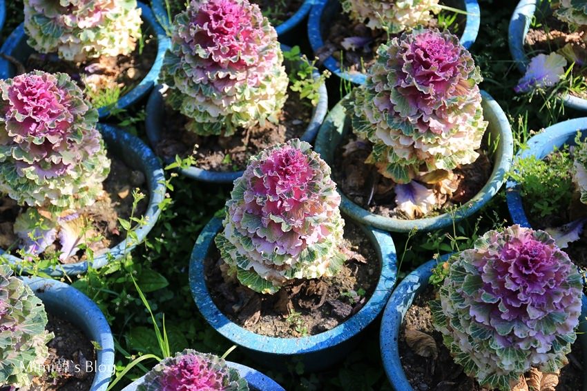 IMG_7555-49.jpg IMG_7555-49.jpg