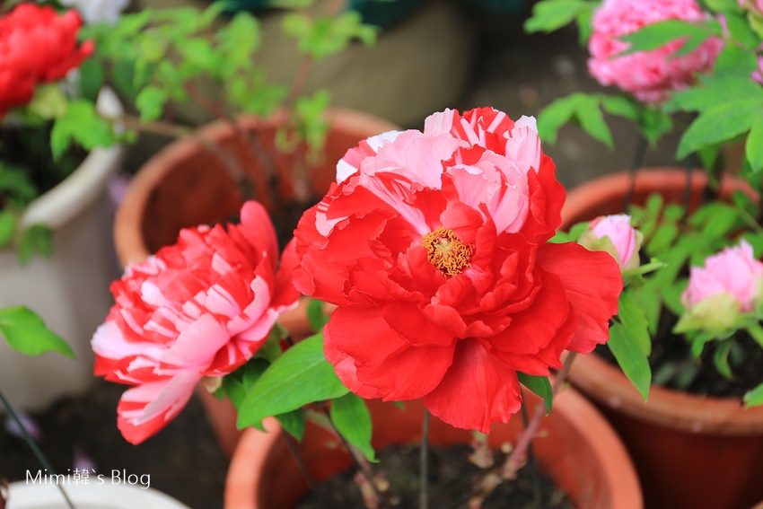 IMG_7594-64.jpg IMG_7594-64.jpg