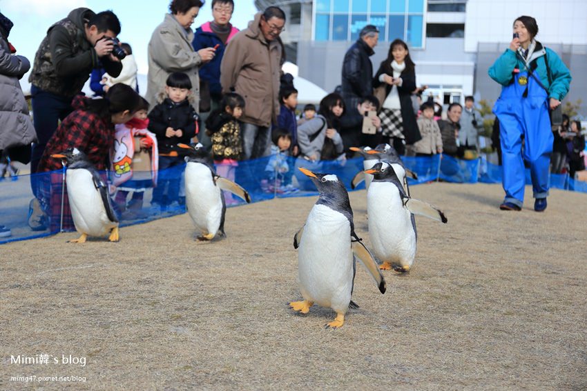 名古屋水族館-26.jpg