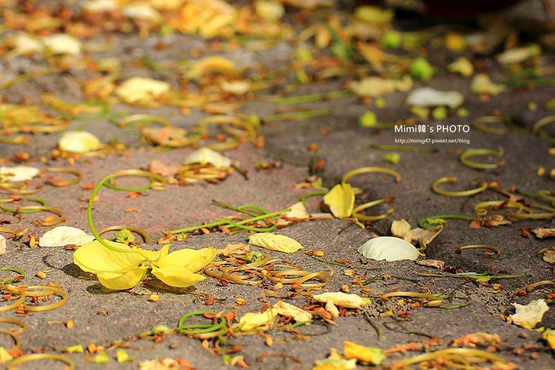 IMG_5086.JPG IMG_5086.JPG