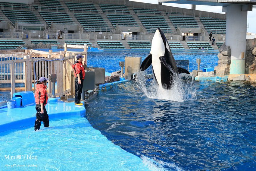 名古屋水族館-31.jpg