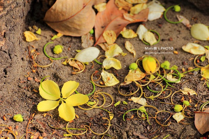 IMG_5087.JPG IMG_5087.JPG