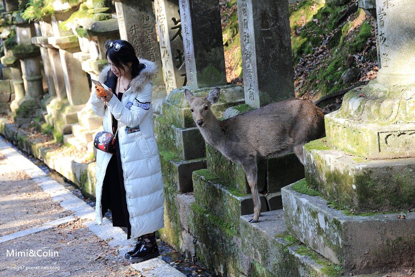 奈良東大寺-48.jpg