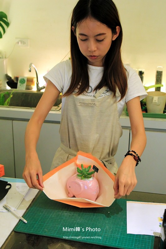 日光夏蘭27.JPG