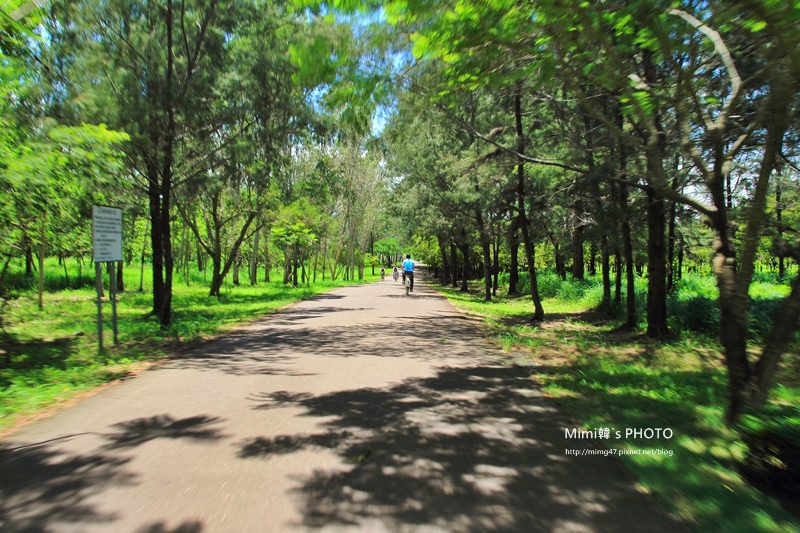 台東森林公園30.JPG