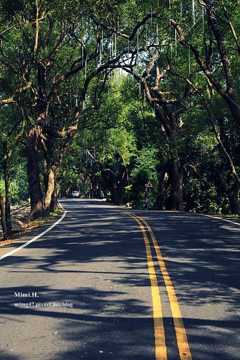集集綠色隧道4.JPG