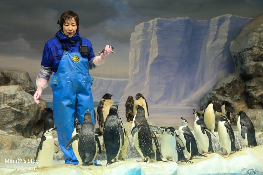名古屋水族館-53.jpg