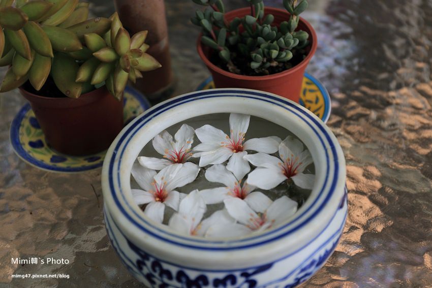 嘉義景點-圓林仔藍花楹油桐花-27.jpg