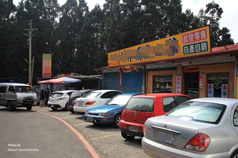 南投鹿谷忘憂森林3.JPG 南投鹿谷忘憂森林3.JPG