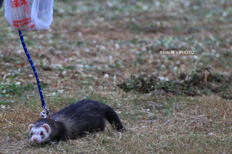 安平林默娘公園33.JPG