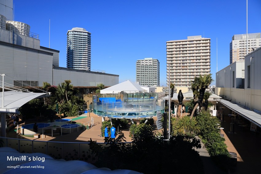 池袋太陽城水族館-13.jpg