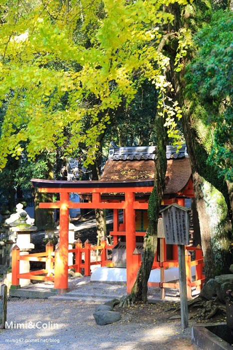 奈良東大寺-41.jpg