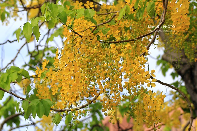 IMG_5094.JPG IMG_5094.JPG