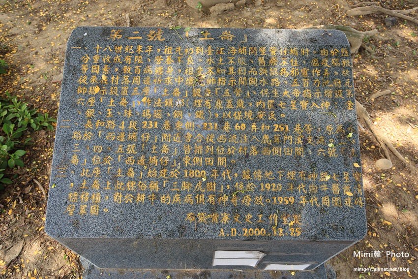 台南景點-百年魚木-7.jpg