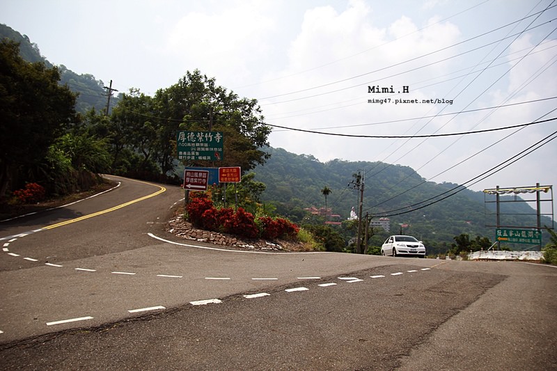 南化烏山彌猴3.JPG