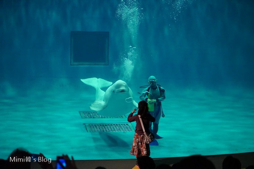 1489236745992-5.jpg 1489236745992-5.jpg