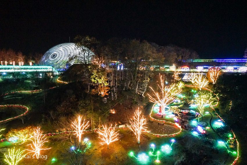 DSC09879.jpg DSC09879.jpg