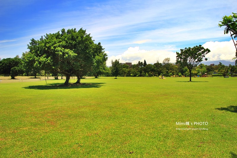 台東森林公園26.JPG