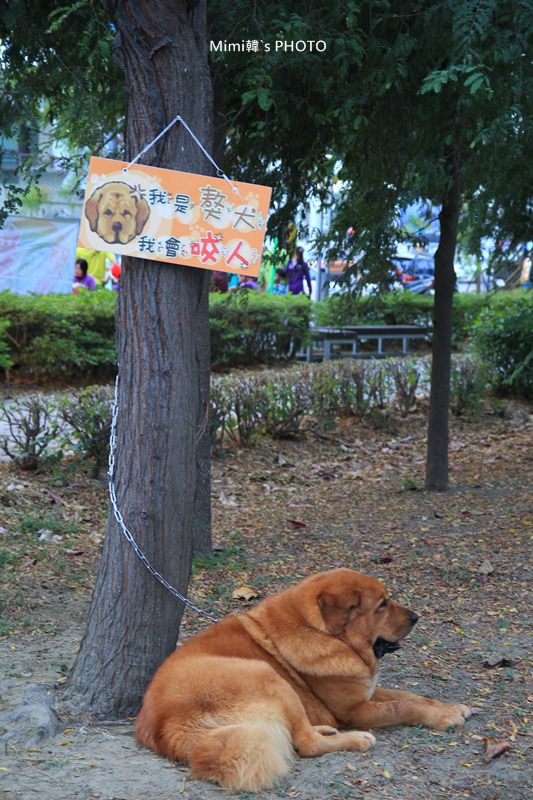 安平林默娘公園24.JPG
