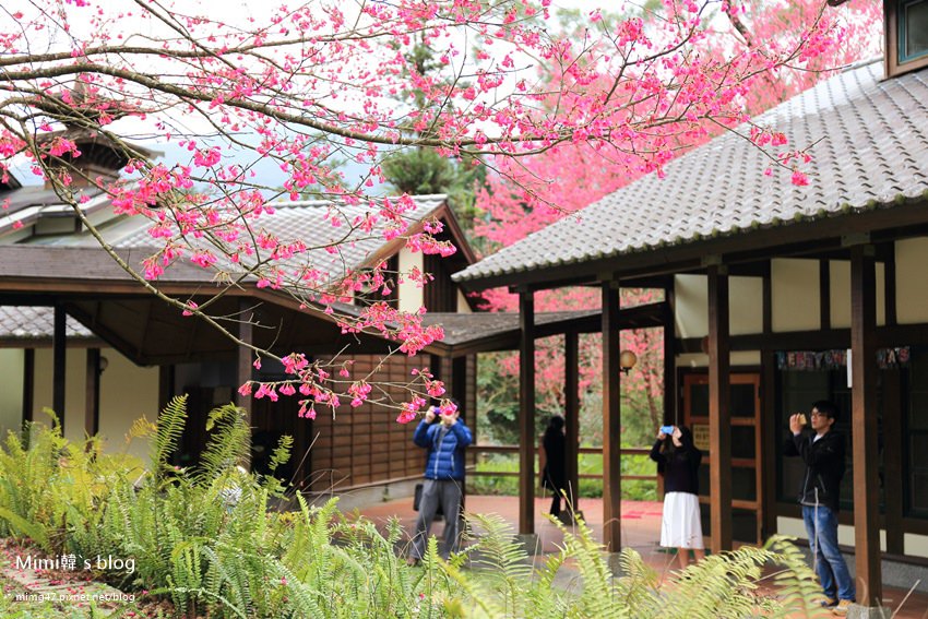 杉溪鹿莊園民宿-32.jpg