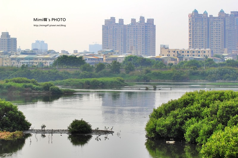 IMG_8554.JPG IMG_8554.JPG