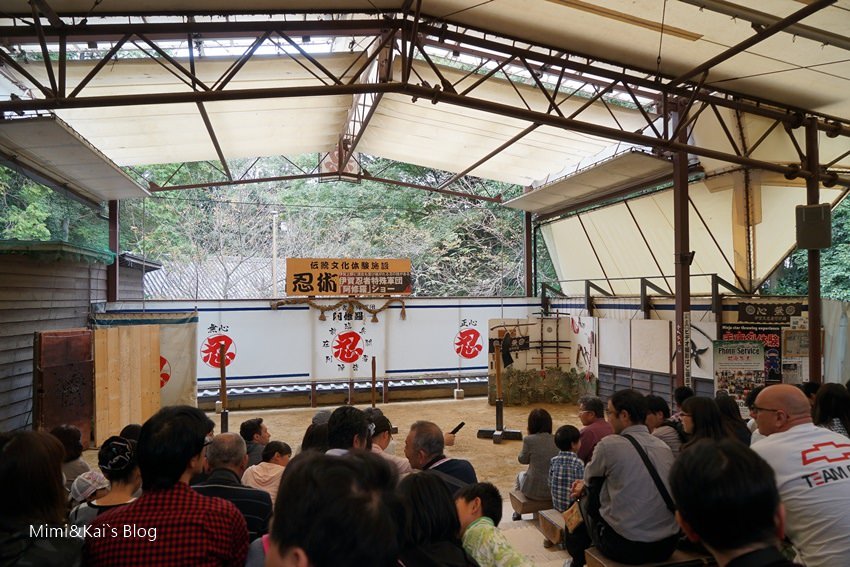 DSC06434-36.jpg