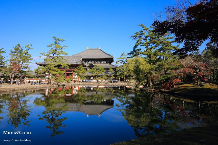 奈良東大寺-19.jpg