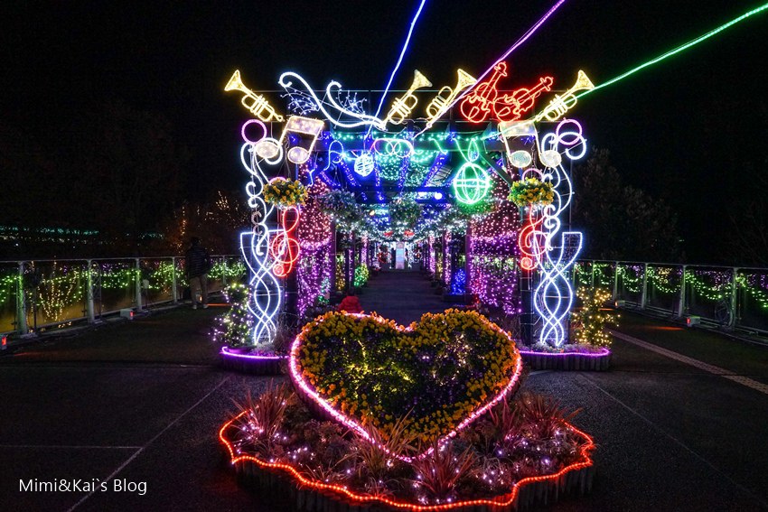 DSC09951.jpg DSC09951.jpg