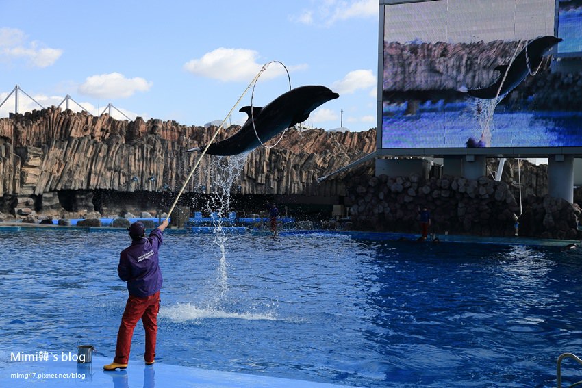 名古屋水族館-22.jpg