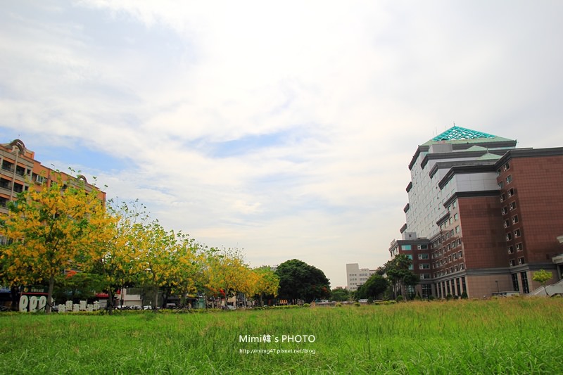 IMG_4846.JPG IMG_4846.JPG