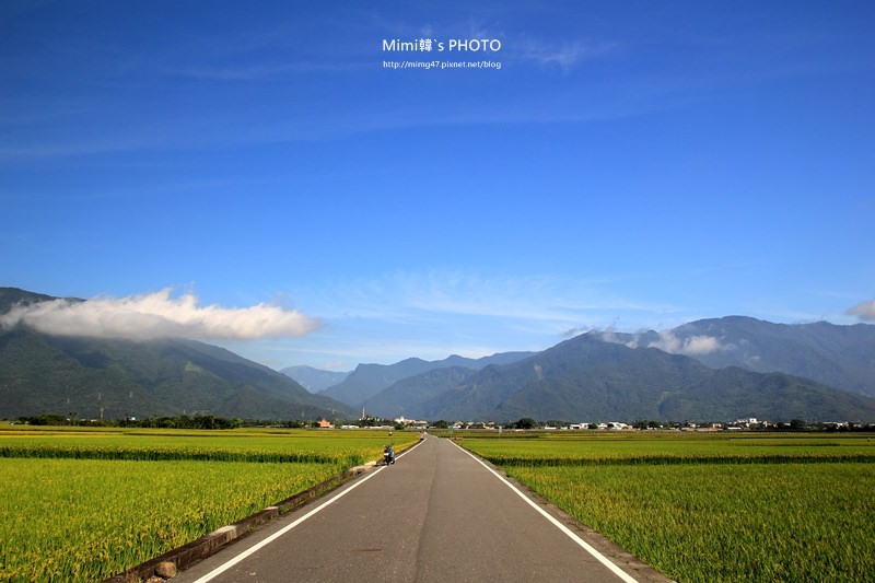 伯朗大道10.JPG