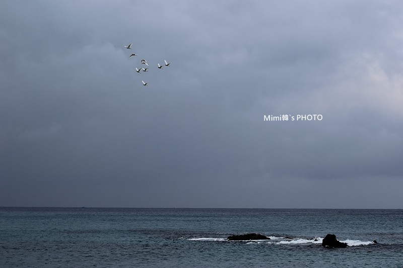 IMG_4292.JPG IMG_4292.JPG