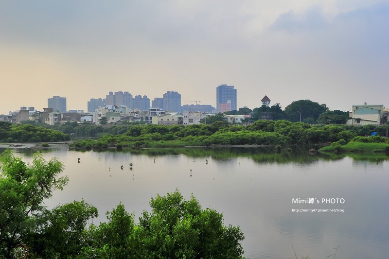 IMG_8522.JPG IMG_8522.JPG