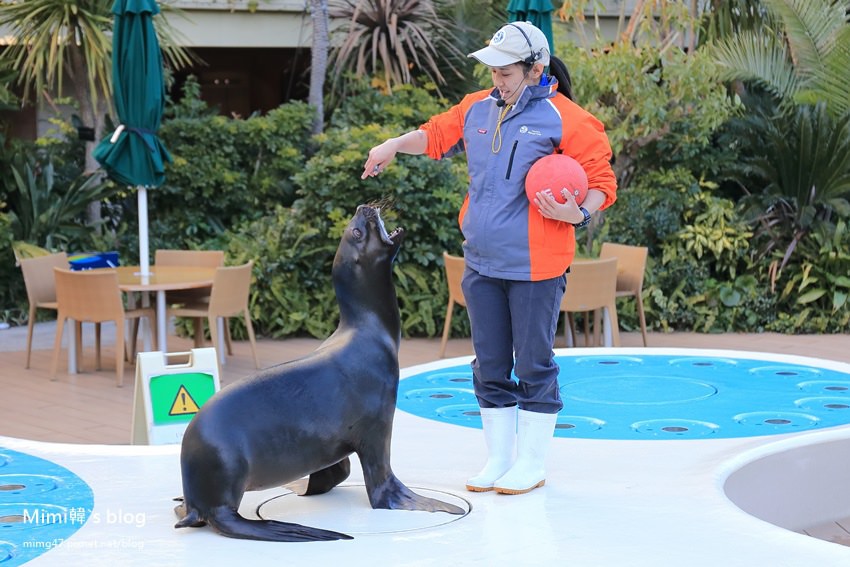 池袋太陽城水族館-17.jpg
