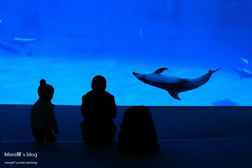 名古屋水族館-34.jpg