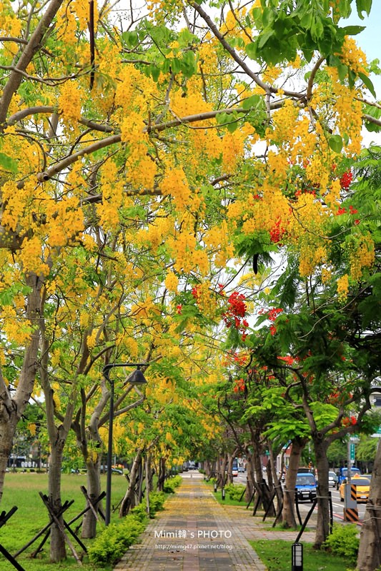 IMG_4841.JPG IMG_4841.JPG