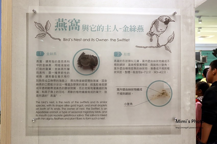 新百祿燕窩19.JPG