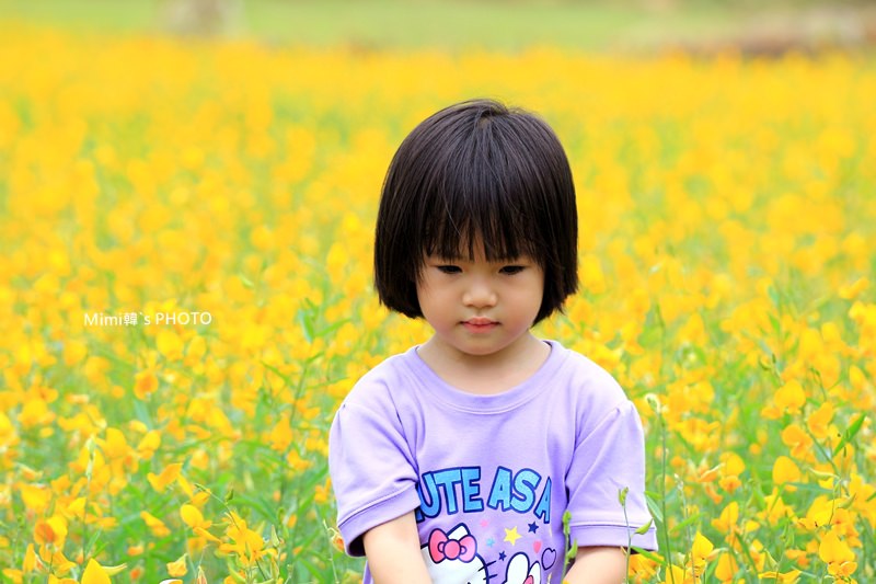 IMG_4144.JPG IMG_4144.JPG