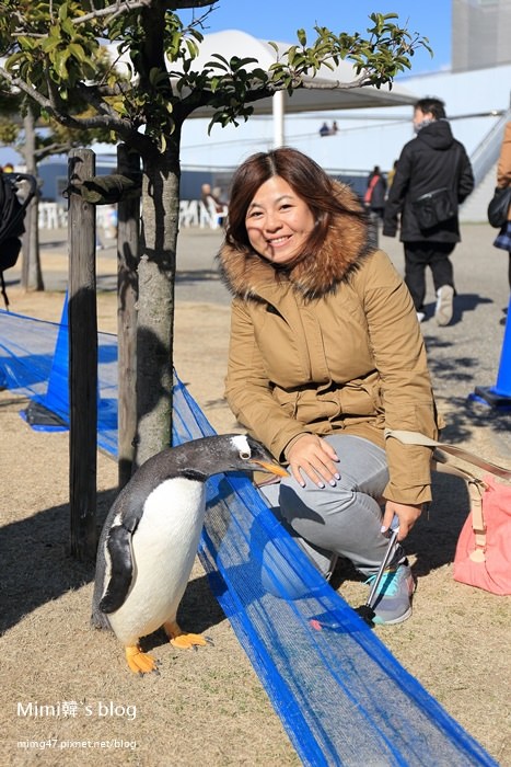 名古屋水族館-30.jpg