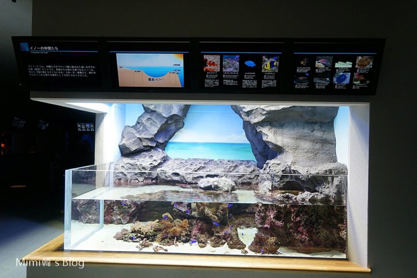 1489236747019-6.jpg 1489236747019-6.jpg