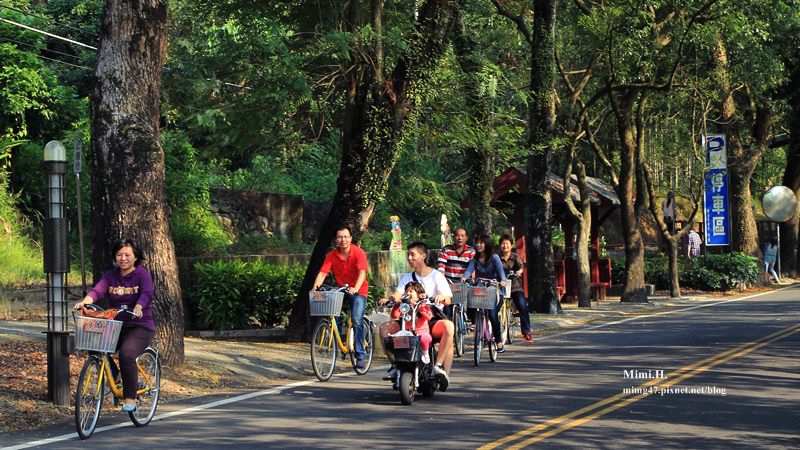 集集綠色隧道7.JPG